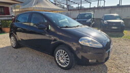 
										FIAT – Punto – 1.2 8V 5p. Easy full									