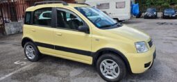 
										FIAT Panda 1.2 Climbing Natural Power full									